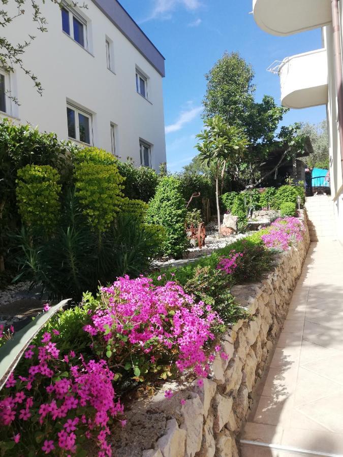 Apartment Maslina Zadar