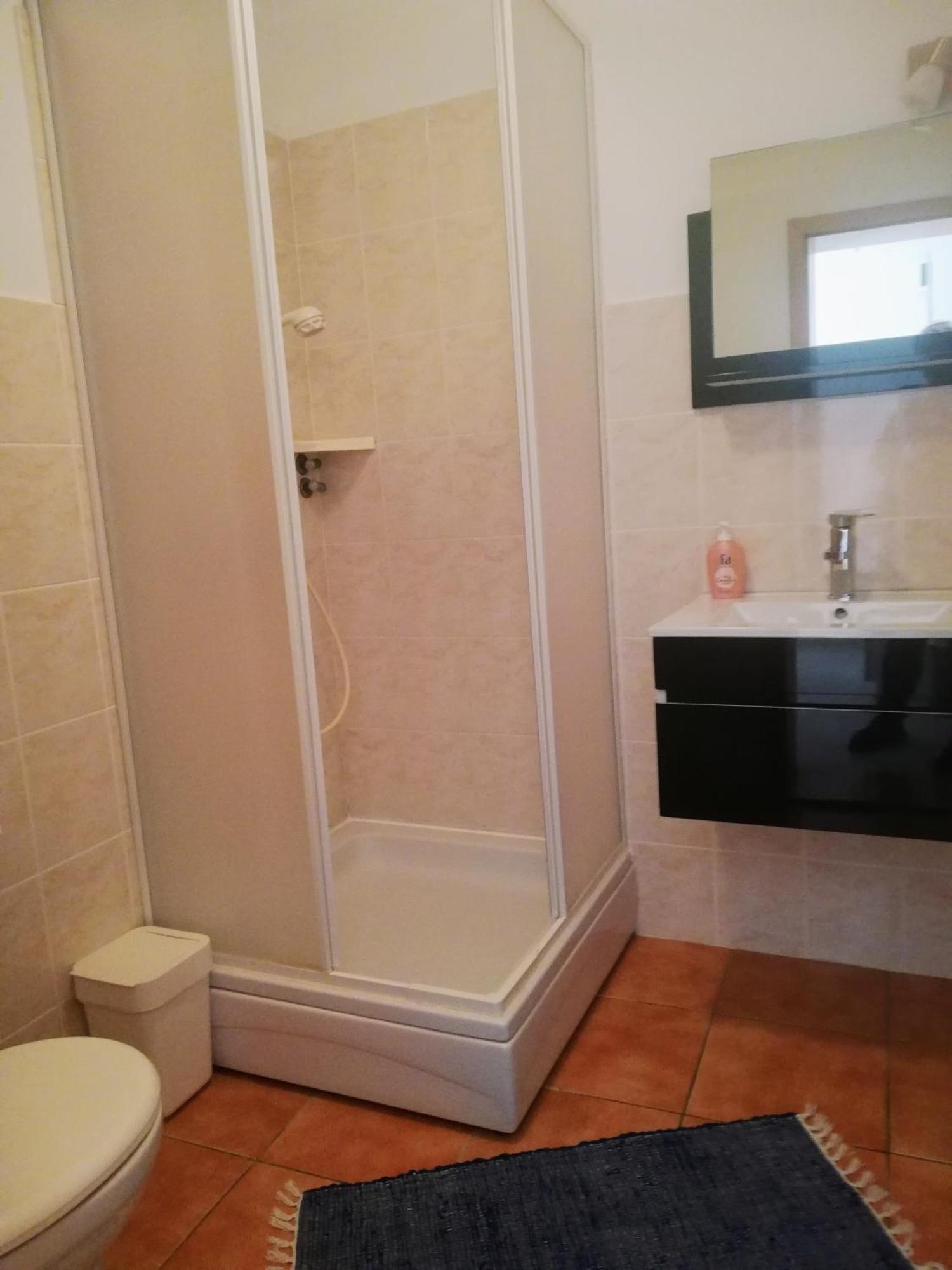 Apartment Maslina *